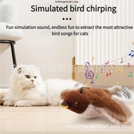 Mainan Kucing Burung Terbang, Mainan Burung untuk Kucing, Mainan Kucing Burung Berkibar, Mainan Kuci