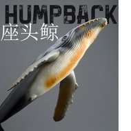 Big-Winged Whale Head Whale Toy Child Cognitive Sea Animal Whale Big-Armed Whale Humpback Whale Mode
