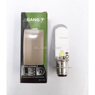 Jigang LED Front Bulb 31 T19