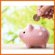 ✻ IPON CHALLENGE DOLLAR ALKANSYA PIGGY BANK