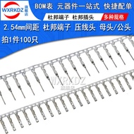 Dupont Terminal Female/Male 2.54mm Pitch Dupont Socket Plug Reed Crimping Terminal (100 Pieces