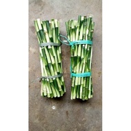 Lucky Bamboo Cuttings 30cm lucky bamboo 1kg