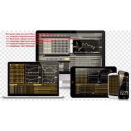 Dow Jones 1897 - 2004 Metastock Format Metaquote Mldownloader (Total size: 703 KB Contains: 1 folder