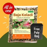 ✱【FREE POLY BAG】Agro Fa 5in1 Premium Baja Keladi Booster  Caladium Fertilizer  Baja Keladi♜