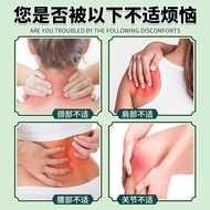 Wormwood Patch Wormwood Health Patch Ginger Patch Heating Paste Patch Running Rivers Lake Stall Prod