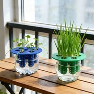 Hydroponic plant cultivation stand suitable for scallions, garlic, coriander, and pennywort, for use
