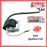 100% ORIGINAL YAMAHA RXZ CATALYZER IGNITION COIL PLUG API YZ125 JAPAN HLY 3V6