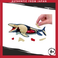 Dismantling Puzzle — Science Mosasaurus Restoration Puzzle【Direct from Japan】