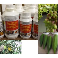 FOLIAR BUNGA & BUAH ( RED FOLIAGE)