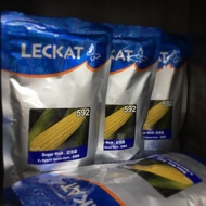 Leckat F1 Jagung Sugar Rich 592 500gm/pkt