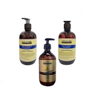 Gold Nine Aromatherapy Anti Dandruff/Oily Control Shampoo/Ginger Revive Shampoo 500ml