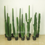 Soft Artificial Indoor Plant Decoration Cactus Succulent Fake Green Plant PU Manufacturer supplies h