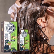 Ginger Plant Extract Anti-hair Loss Hair Shampoo Hair Care