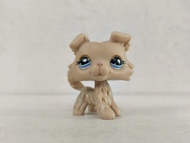 ของเล่น1ชิ้น LPS ร้านขายสัตว์เลี้ยงเล็กๆสุนัขล่าสัตว์สีเหลืองดวงตาสีฟ้ารูป #1194