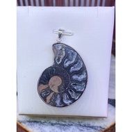 Premium Grade Ammonite crystal slab pendant (黑螺)-