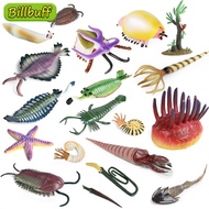 、‘、。； Lifelike Giant Marine Marine Animal Plant Scorpion Cactus Nautilus Trilobites Model Action Figures Educational Toys For Children