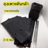 ถุงเพาะชำ ถุงเพาะต้นกล้า ขนาด 2*6 ซม. หนัก 20 ถุงปลูกต้นไม้