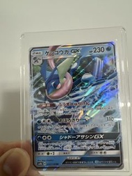 寵物小精靈Pokemon卡 甲賀忍蛙