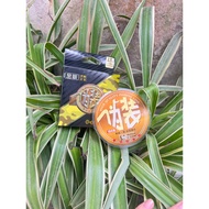 Stealth 3D Fishing Rod 100m long. acvnb123zzv