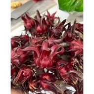 Benih bibit ROSELLA UNGU isi 5 biji