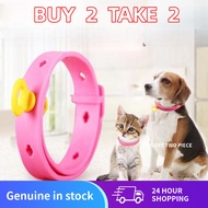 Kolar Anti Kutu Kucing – Untuk Kucing Anjing Berkuasa