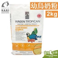 缺期限2023.10《寵物鳥世界》加拿大Hagen Hari哈根幼鳥奶粉(2kg) |赫根鸚鵡雛鳥成長配方奶粉NE020