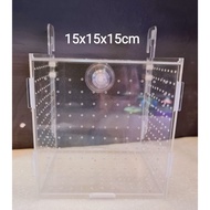 Aquarium Fish Isolation Box Fish Tank（15x15x15cm)
