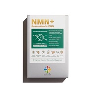 【胡杏兒代言】LIFE Nutrition NMN+ (30粒)