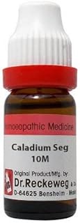Dr. Reckeweg Caladium Seguinum 10M CH (11ml)