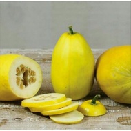 BENIH ASIAN MELON GOLDEN CRISPY