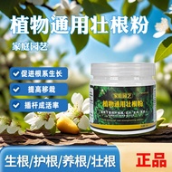 Gardening Tools Quick Strong Root Powder Strong Seedling Agent Hair Root Agent Plant Dedicated Root 