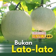 Benih Bibit Melon Pertiwi Anvi