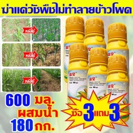 🌽กำจัดวัชพืชใน1วัน🌽 ยาฆ่าหญ้าในป่าข้าวโพด ฆ่าหญ้าข้าวโพด ยาชุดข้าวโพด เข้มข้นสุด100ML  นิโคซัลฟูรอน4