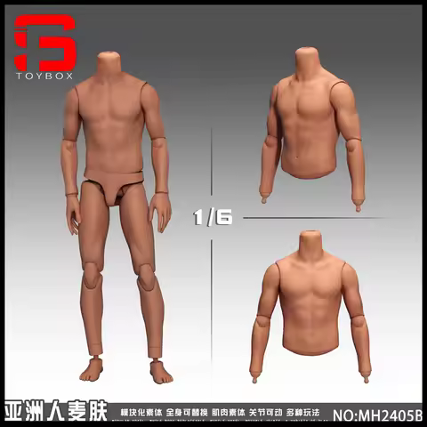 MAHA studio MH2404 MH2405 1/6 Scale Male Muscle Body 12-inch Drawman Removable Joint Body