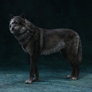 JXK Arctic Wolf White Wolf Snow Plain Wolf โมเดลสัตว์จำลอง ตุ๊กตาทหาร 1/6 ของเล่นทันสมัย โมเดลสัตว์ 