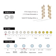 MINTYBOX S925 Silver 2.59ct Lab Diamond Moissanite Drop Earrings for Women 18k Gold Plated Leaves Da