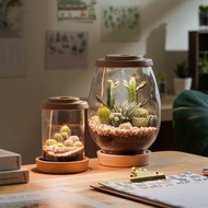 【全光譜 生態缸專用 植物燈】不含植物 圓盤植物燈 擬太陽光