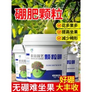 Boron Fertilizer Universal Granular Shed Fertilizer Flower Fruit Slow-Release Foliage Fertilizer Spr