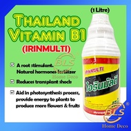 (WHITE BOTTLE) THAILAND MULTI EXTRA VITAMIN B1 1 LITER AMINO ACID PENGGALAK AKAR B1