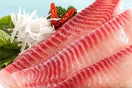鯛魚片(腹部) 250g/包冷凍