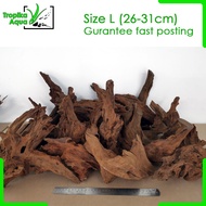 Driftwood (L 26-31cm) Malaysia for Aquarium Fish Tank Aquascape