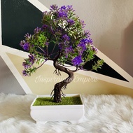 BEST SELLER🔥Pokok Bonsai Hiasan Rumah Pokok Bunga Hiasan Rumah Siap pasu