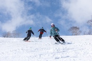 Rhythm Japan 20% Spring Promo-Ski & Snowboard Lesson