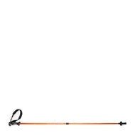 EIGER TREKKING POLE 2 SECTION