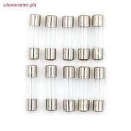uloveremn 10pcs Glass Tube Fuse 5mm x 20mm 1.6A T1.6A 250V Slow Blow 1.6Amps PH