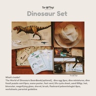 Putusitompulshops - Book &amp; Toy Dinosaurs Fossils sensory play tortoys