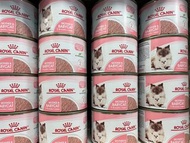 royal canin baby cat 罐頭
