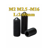 Set Screw Grub Screw/Grub Screw DIN916/Black Carbon Steel 12.9 High Tensile Hex Socket Set Screw M2M