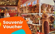 Souvenir Voucher at VinWonders