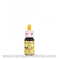 WINNER STR 10000 15 ml. วินเนอร์ เอสทีอาร์ 10000 (น้ำส้ม) 15 มล. (ร้านขายอาหารนก ไก่ อาหารสัตว์เล็ก)